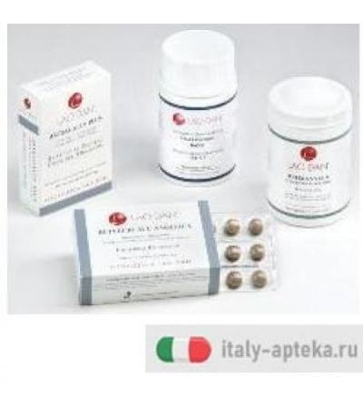 ANGELICA LORANTHUS 60CPR BLIS