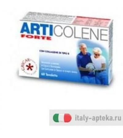 ARTICOLENE FORTE 60TAV