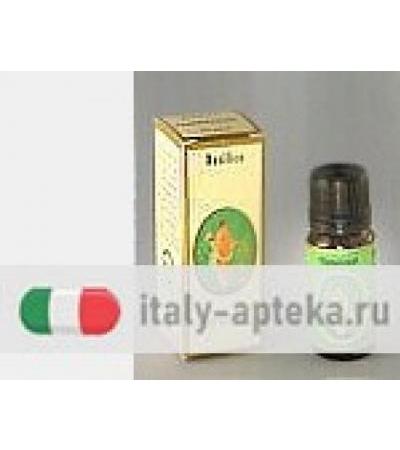 BAY OLIO ESS 10ML
