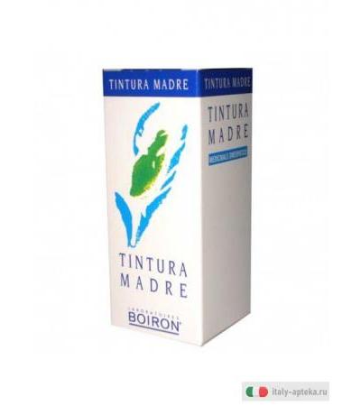 Betula Alba 60ml Tintura Madre