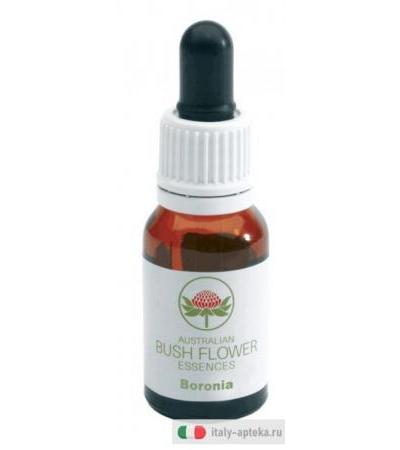 BORONIA GOCCE 15ML