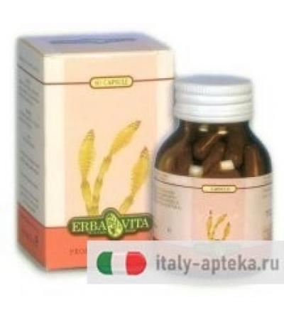 Cardo Mariano Erba Vita 60 Capsule 400MG