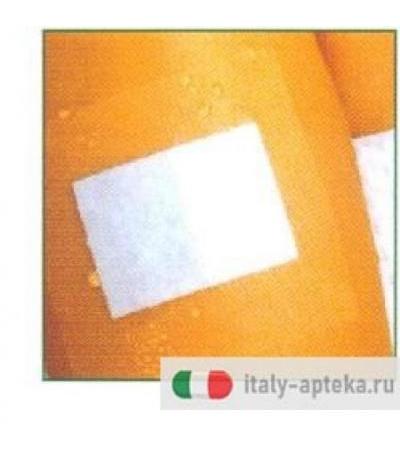 CER CURAPOR STER TRASP 10X8