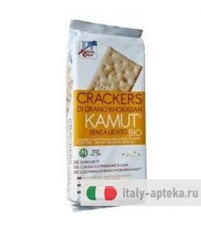 CRACKERS KAMUT S/LIEV BIO 290G