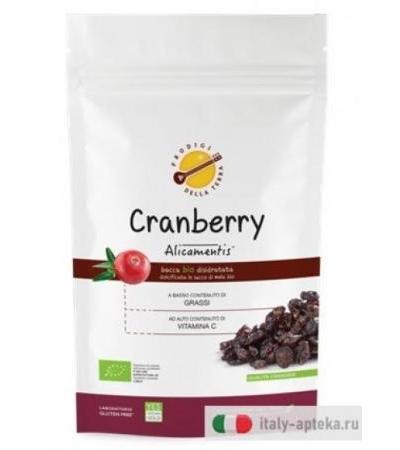Cranberry Alicamentis Bio 220g