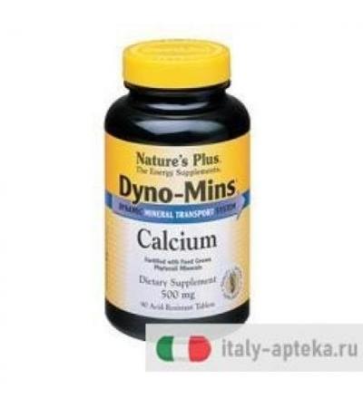 DYNO MINS CALCIO 500 MG