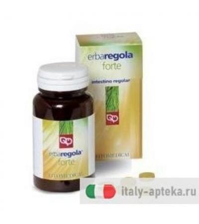 ERBAREGOLA FORTE 4 100TAV 50G