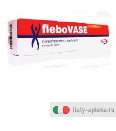 FLEBOVASE GEL 100ML