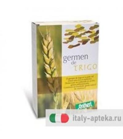 GERME GRANO POLV 400G STV