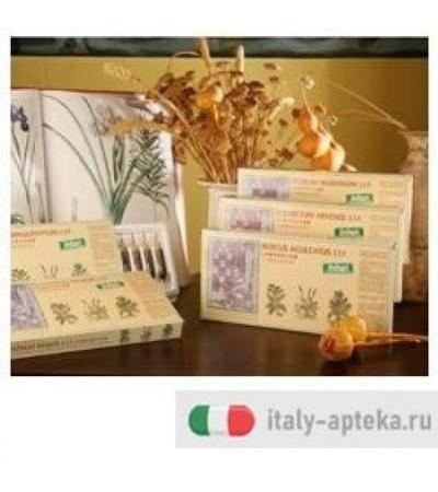 Harpagophytum Comp 12 Fiale Santiveri