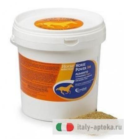 HORSE POWER 100 20KG