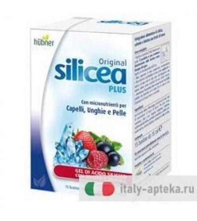 HUBNER ORIG SILIC PL FR B 15BU