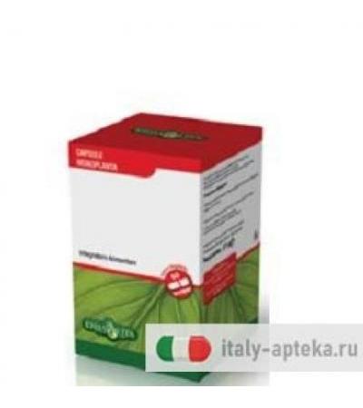 ISOFLAVONI SOIA 60CPS 450MG