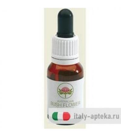 KAPOK BUSH AUSTRALIAN 15ML GTT