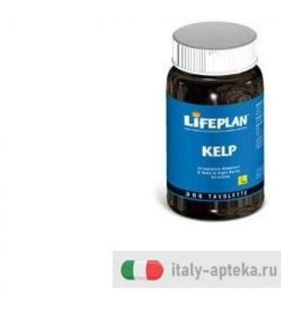 KELP ALGHE MARINE SELV 300TAV