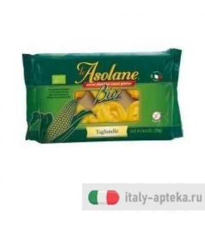 LE ASOLANE BIO TAGLIATELLE 250