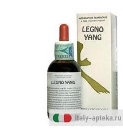 LEGNO YANG 50ML