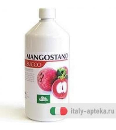 MANGOSTANO SUCCO 1L