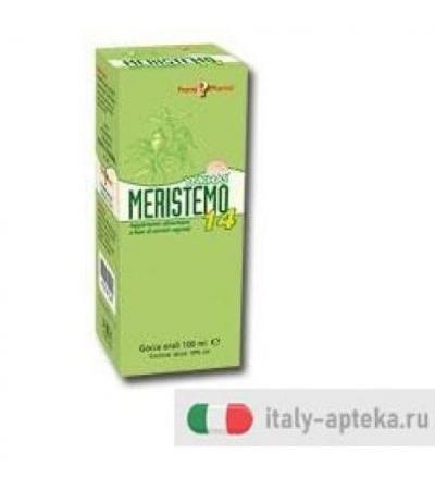 MERISTEMO YNKHAS 14 100ML