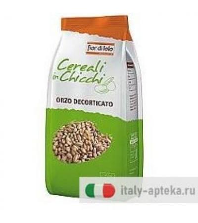 ORZO DECORT 500G