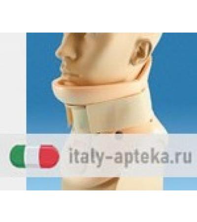 PHILADELPHIA COLLARE CERV PIC