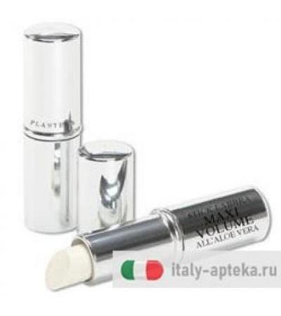 PLANTERS ALOE STICK LAB MAXIVO