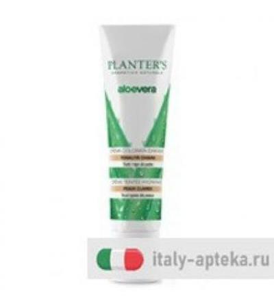 PLANTERS CR COLOR CHIARA ALOE