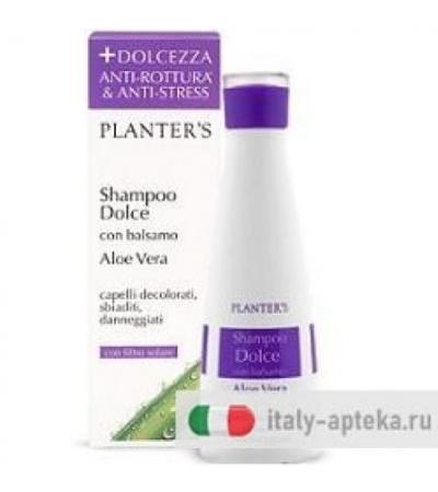 PLANTERS SH DOLCE ALOE VERA