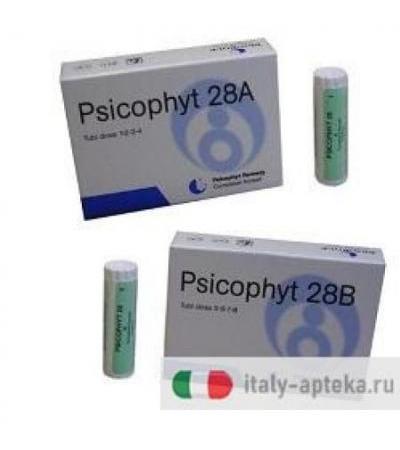 PSICOPHYT REMEDY 28A 4TUB 1,2G