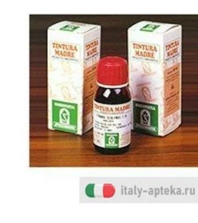 PUNGITOPO 24 50ML TM