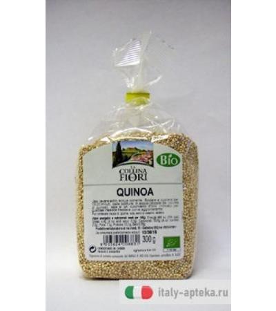QUINOA BIO SG 300G