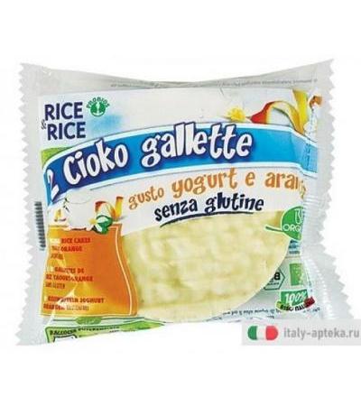 R&R CIOKO GALLETTE YOGURT ARA