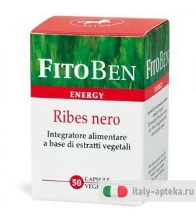 RIBES NERO 50CPS