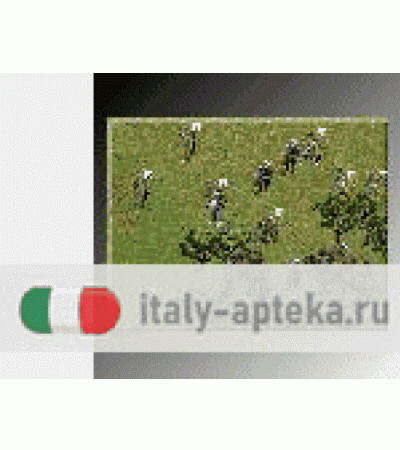 RUGIADA TIMO GTT 50ML