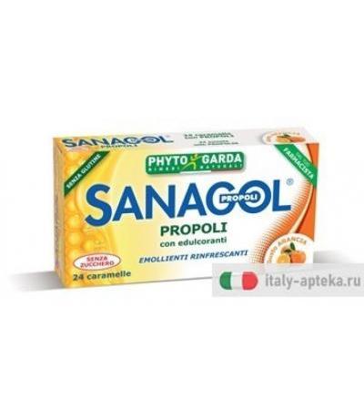 SANAGOL PROPOLI S/Z ARANCIA 24