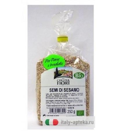 SESAMO SEMI BIO SG 250G