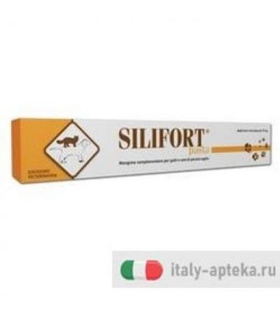 SILIFORT PASTA OS SIRINGA 30G