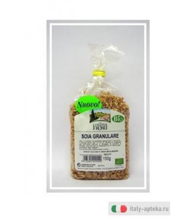 SOIA GRANULARE BIO SG 150G