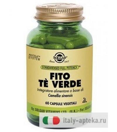 Solgar Fito Te Verde 60 Vegicapsule