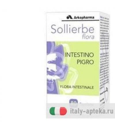 SOLLIERBE FLORA 30TAV