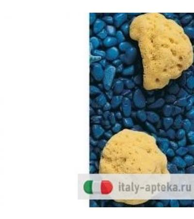 SPUGNA NAT FORI PIC 9/10CM 11V