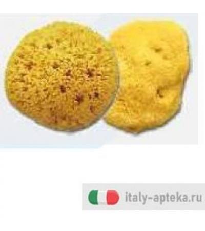 SPUGNA NATURALE