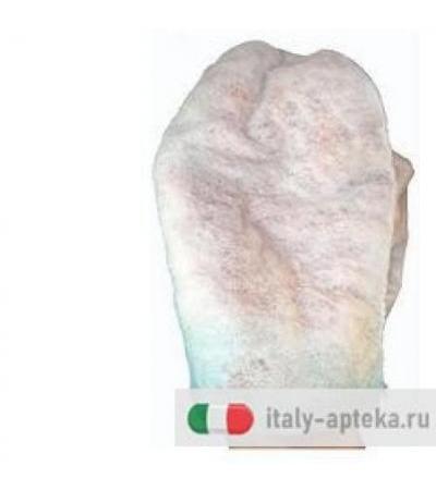 SPUGNA PRESAPONATA 12X20X1