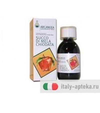 SUCCO MELA CHIODATA 200ML