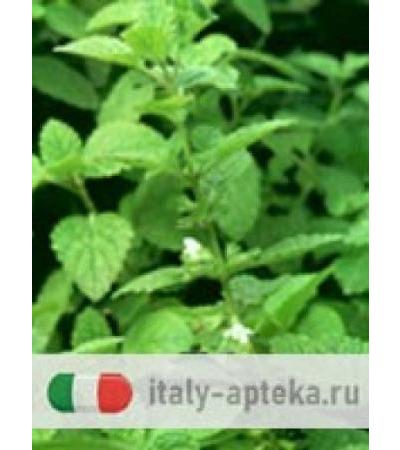 TSA Melissa Officinalis 50ml