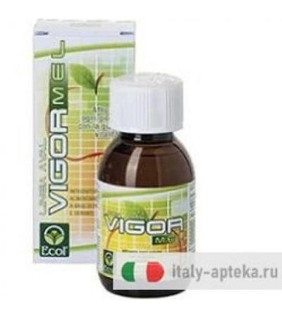 VIGORMEL 100ML