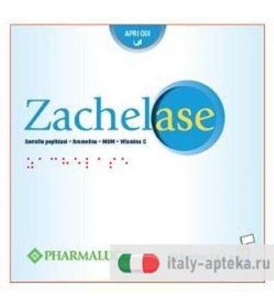 ZACHELASE 20BUST 4,6G