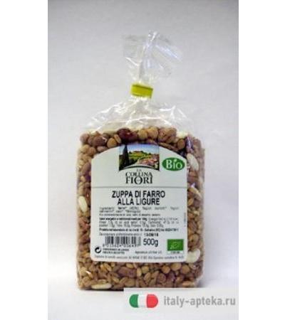 ZUPPA DI FARRO ALLA LIGURE BIO