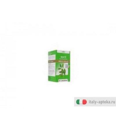 Arkocapsule Matè controllo del Peso Integratore Alimentare 45 Capsule