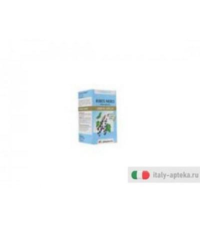 arkocapsule ribes nero